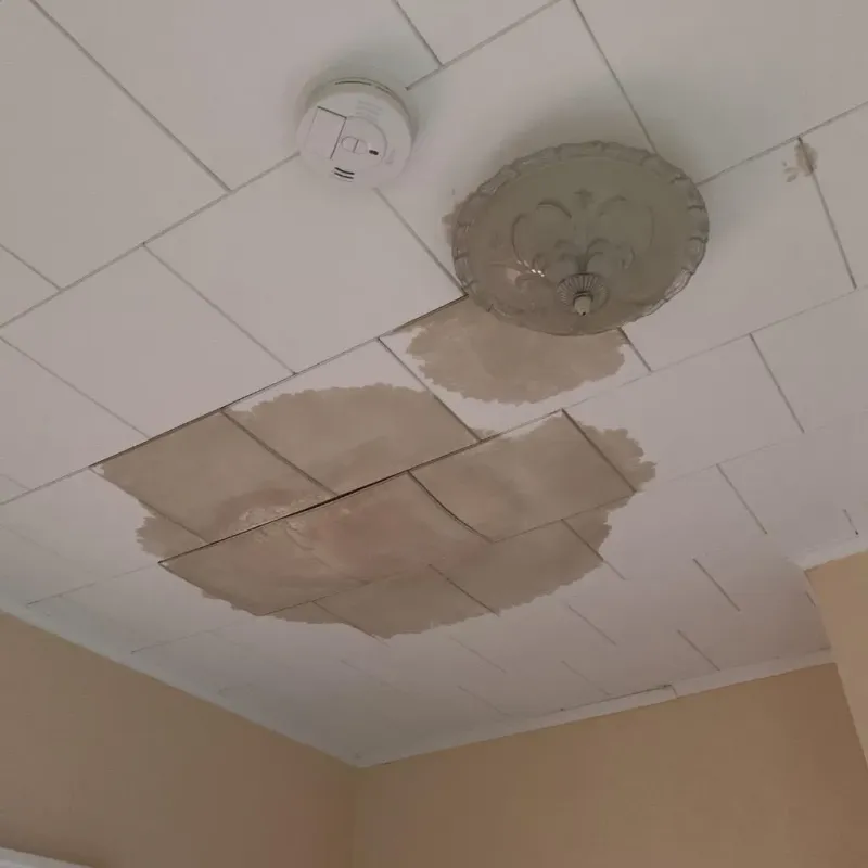 Ceiling Water Damage Repair in Pontoon Beach, IL