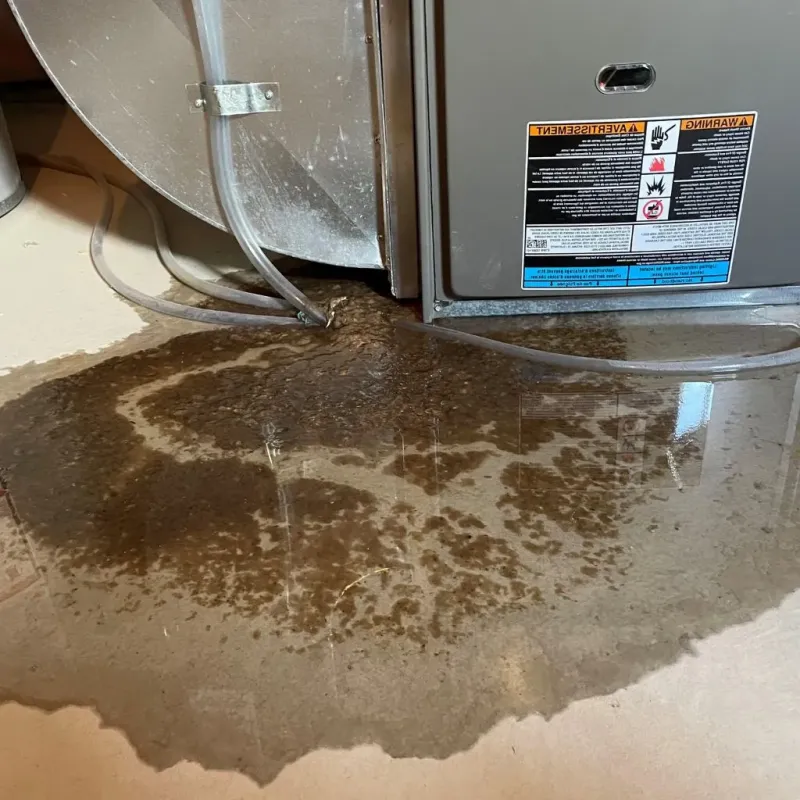 Pipe Burst and Leak Restoration in Pontoon Beach, IL